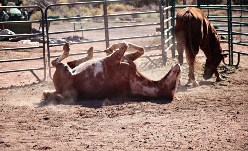 IMG_1912_edited-1-topaz_pe