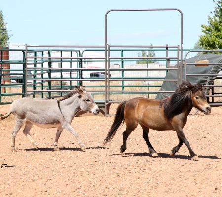 VALENTINE AND ISABEL